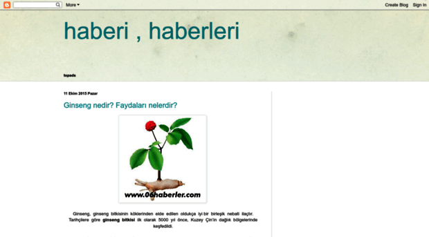haberep.blogspot.com