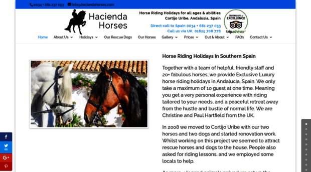 haciendahorses.com