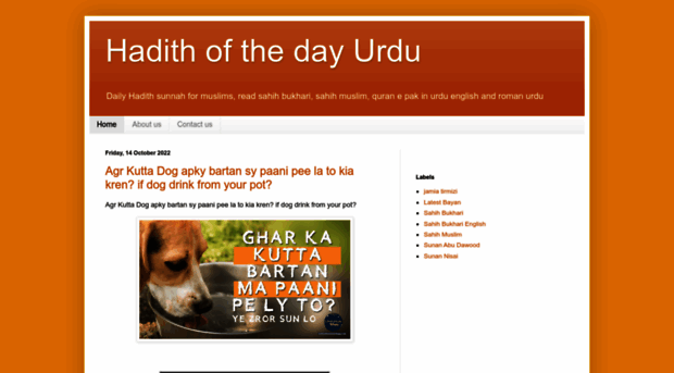 hadithofthedayurdu.blogspot.com