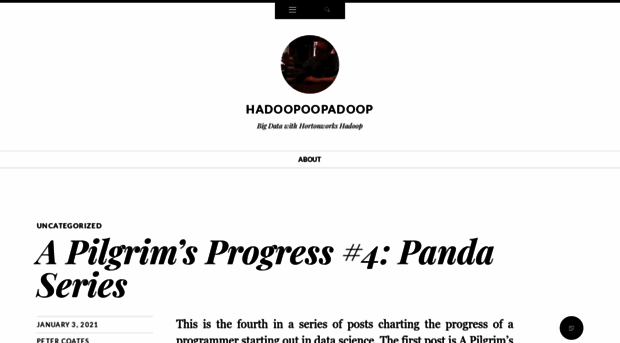 hadoopoopadoop.com