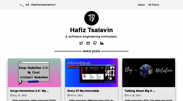 hafiztsalavin.com