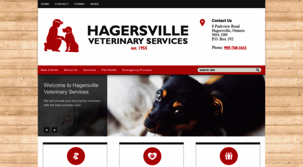 hagersvilleveterinary.ca