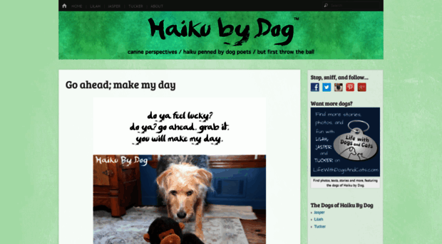 haikubydog.com