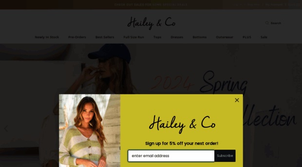 haileyandco.com