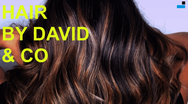 hairbydavidandco.com