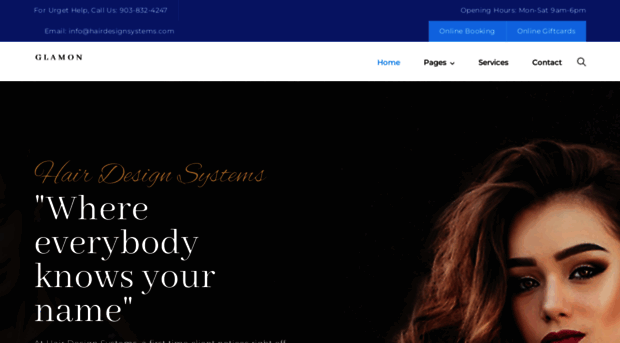 hairdesignsystems.com