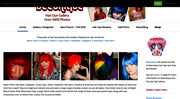 hairdyegallery.com