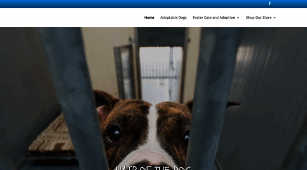 hairofthedogrescue.org