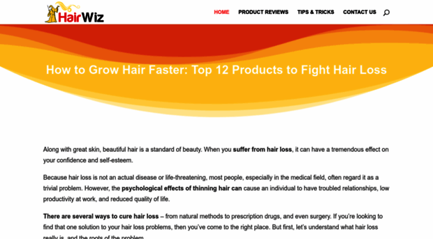 hairwiz.net