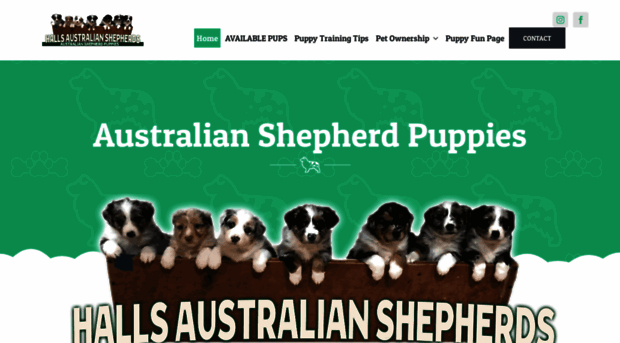 hallsaustralianshepherds.com