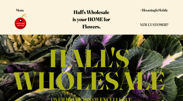 hallswholesalemobile.com