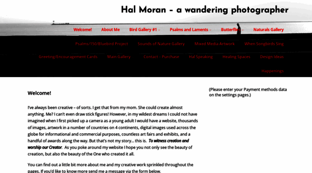 halmoran.com