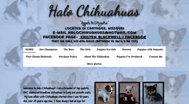 halochihuahuas.com