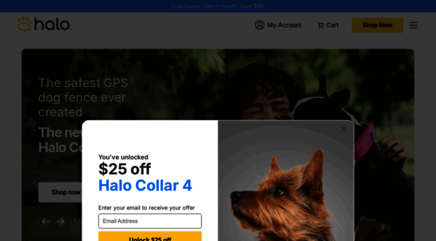 halocollar.com