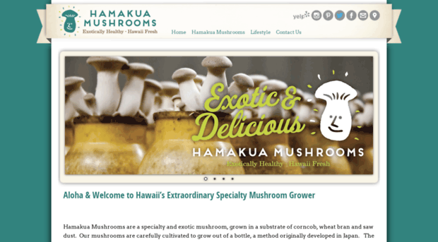 hamakuamushrooms.com