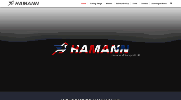 hamannmotorsport.co.uk