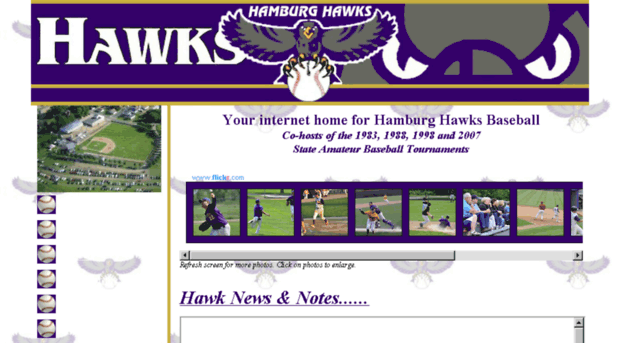 hamburghawks.com