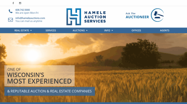 hameleauctions.com