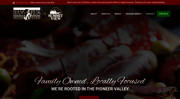 hamelssummitview.com
