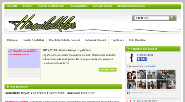 hamilelikler.net