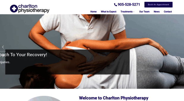 hamiltonphysiotherapist.ca