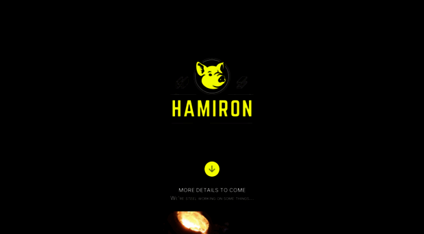 hamiron.com