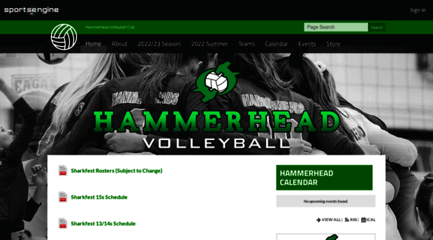 hammerheadvolleyball.com