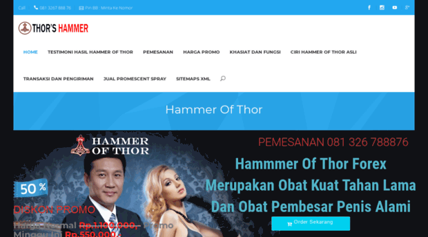 hammerofthors.com