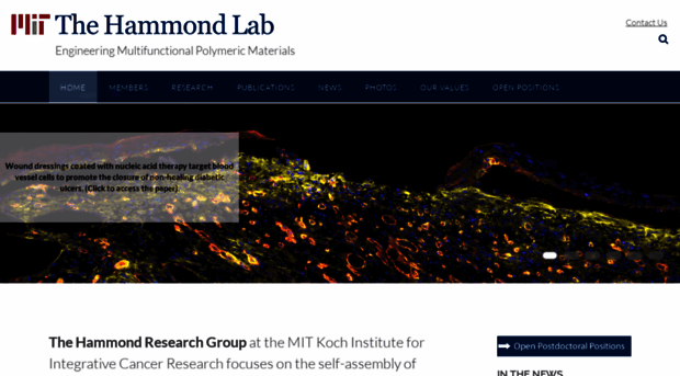 hammondlab.mit.edu