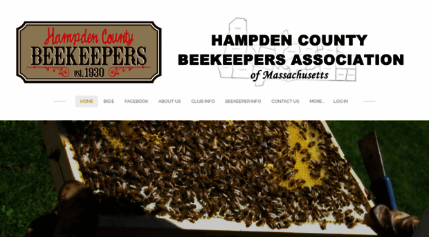 hampden-county-beekeepers.org