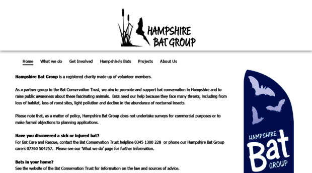 hampshirebatgroup.org.uk