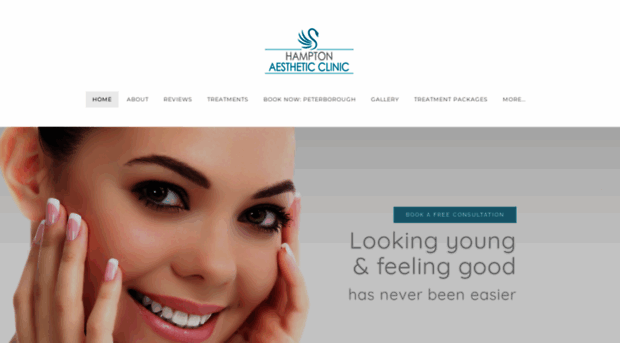 hamptonaesthetics.com