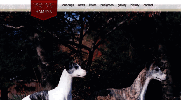 hamryawhippets.com