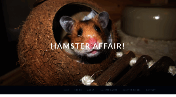 hamsteraffair.weebly.com