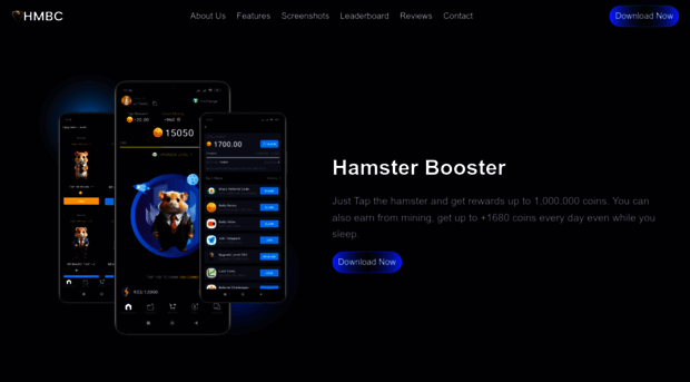 hamsterbooster.com