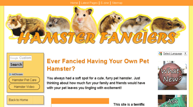 hamsterfanciers.com