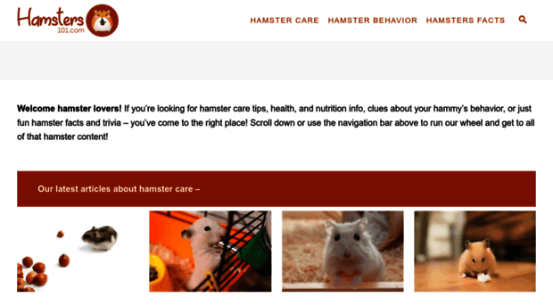 hamsters101.com