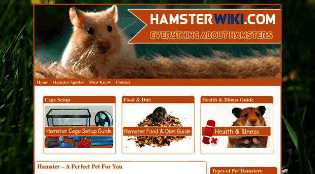 hamsterwiki.com