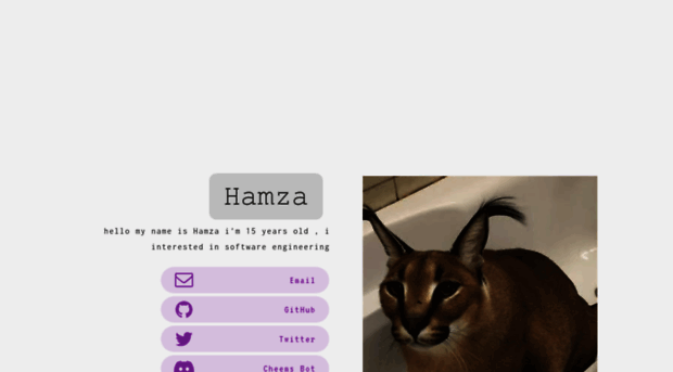 hamzadev.carrd.co