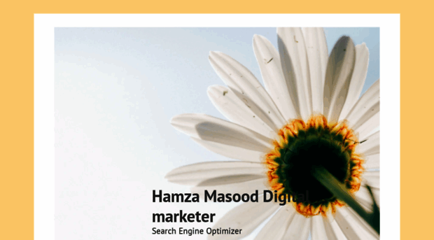 hamzamasooddigitalmarketer.wordpress.com