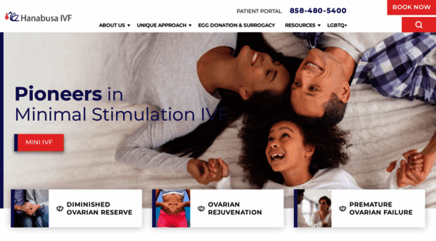 hanabusaivf.com