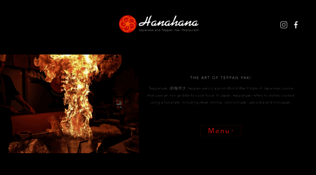 hanahananewcastle.com