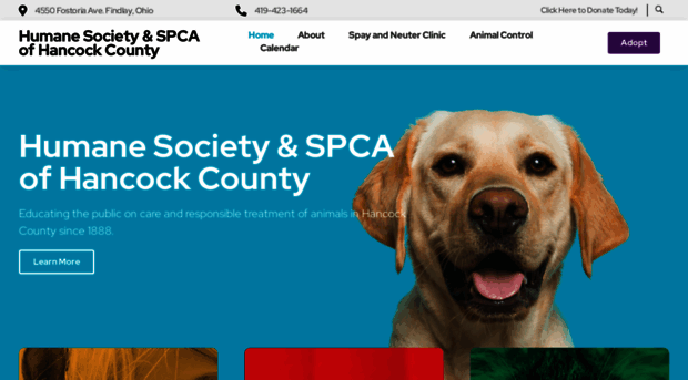 hancockhumanesociety.com