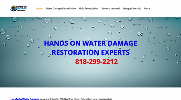 handsonwaterdamage.com