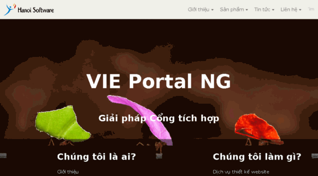hanoisoftware.com.vn