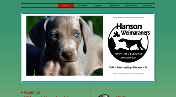 hansonweims.com