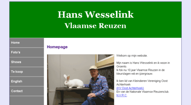 hanswesselinkvlaamsereuzen.nl