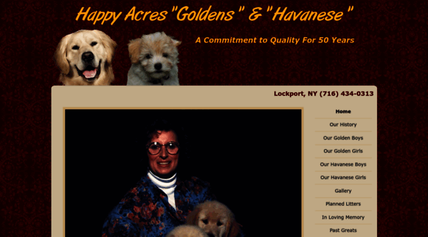 happyacresgoldens.com