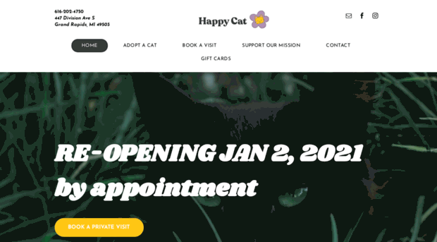 happycatcompany.com