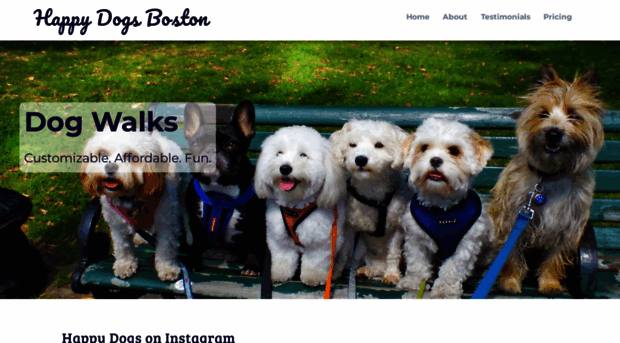 happydogsboston.com